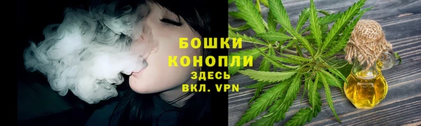 PSILOCYBIN Армянск