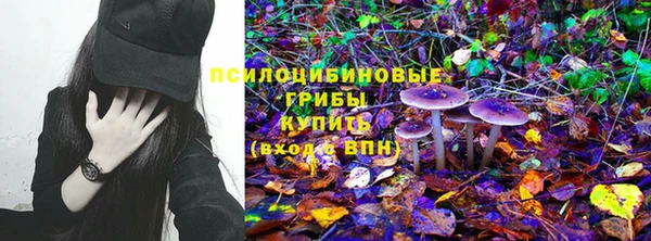 PSILOCYBIN Армянск