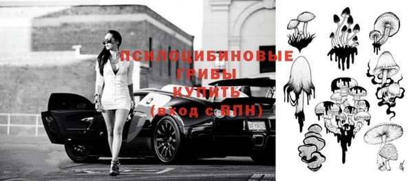 гидропоника Аркадак